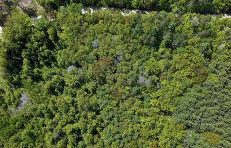 Lot 2-2 Riverbend Road Brownfield ME 04010