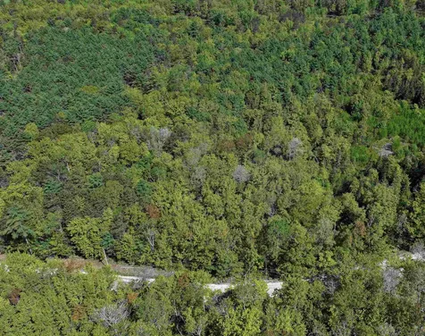 Lot 2-2 Riverbend Road Brownfield ME 04010
