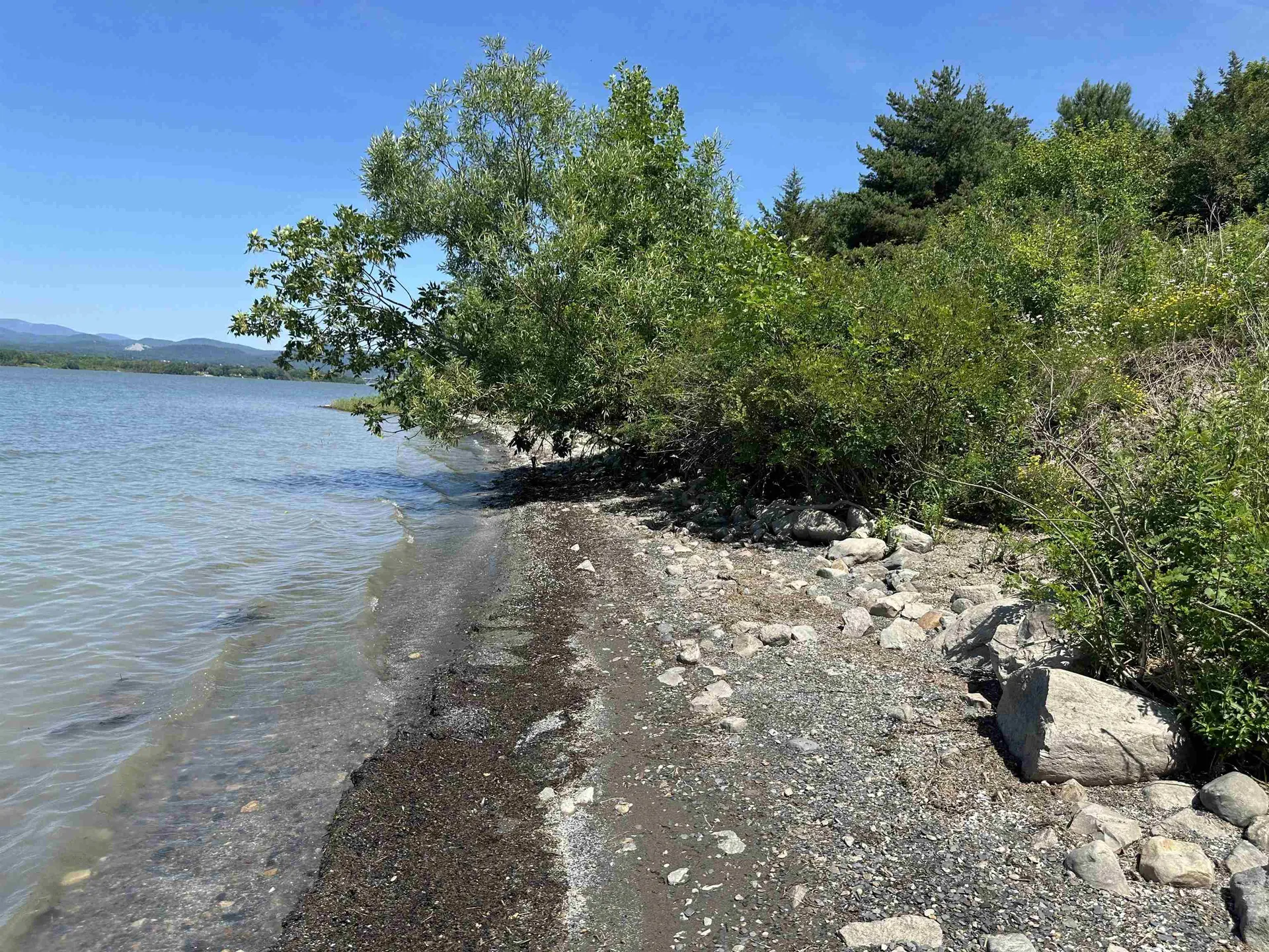 0 Vt Route 125 Bridport VT 05734