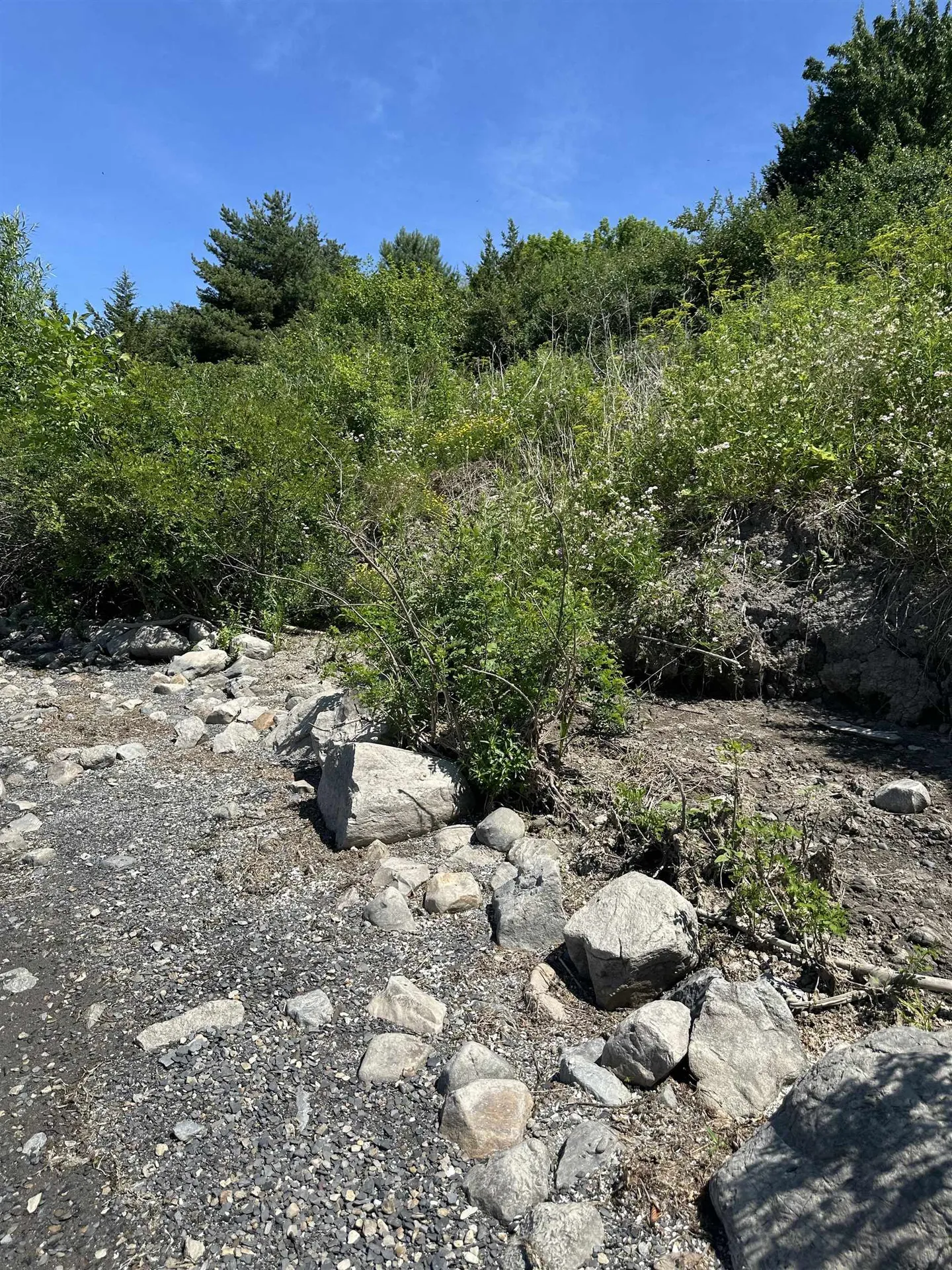 0 Vt Route 125 Bridport VT 05734