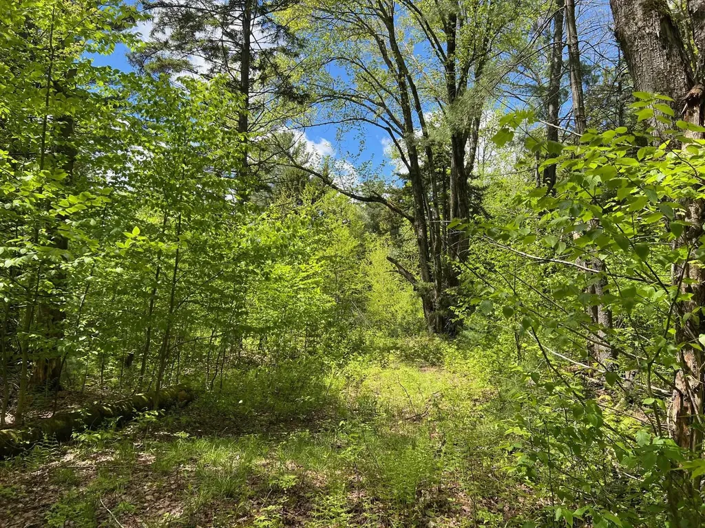 0 Bragg Hill Road Fayston VT 05673