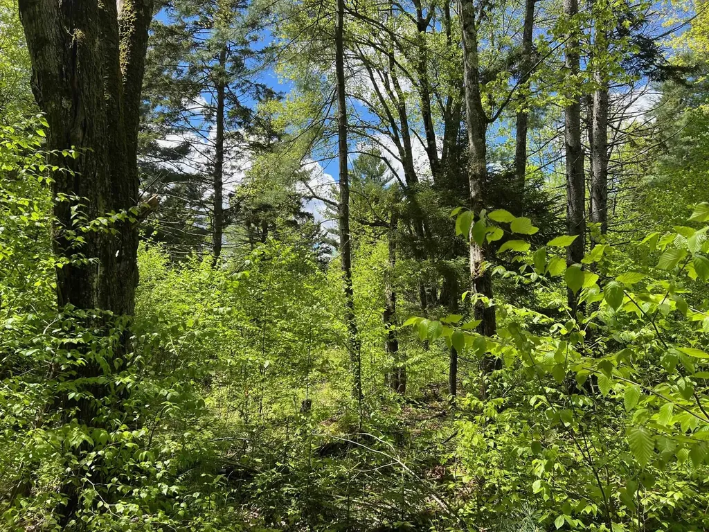 0 Bragg Hill Road Fayston VT 05673