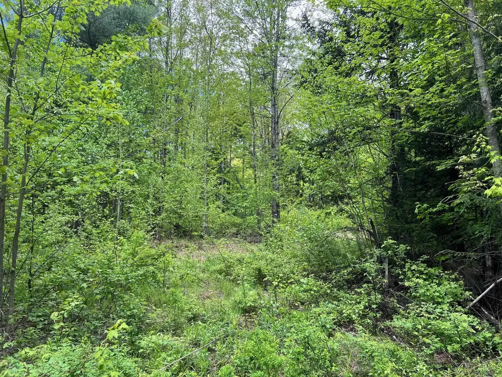 0 Bragg Hill Road Fayston VT 05673