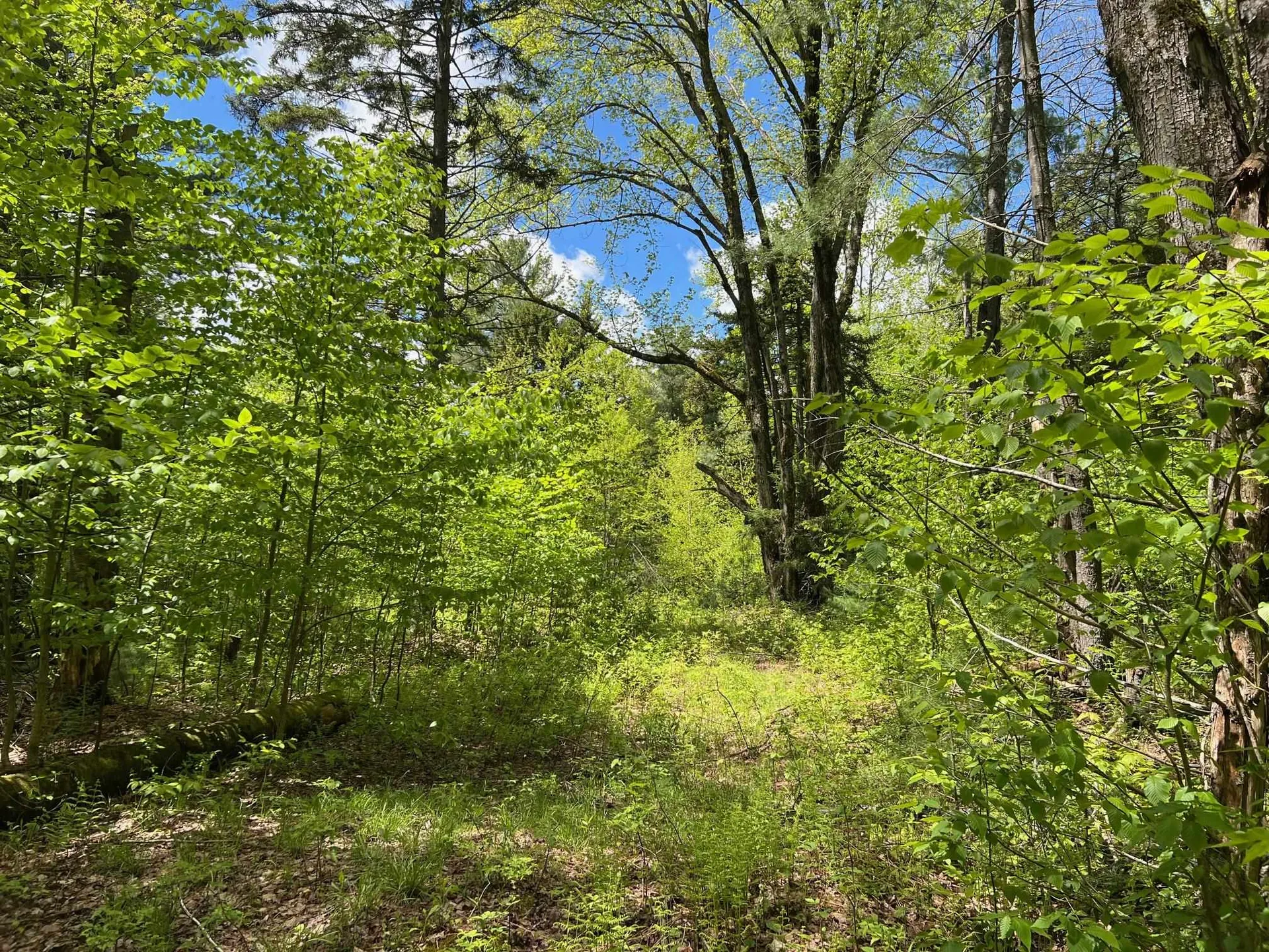 0 Bragg Hill Road Fayston VT 05673