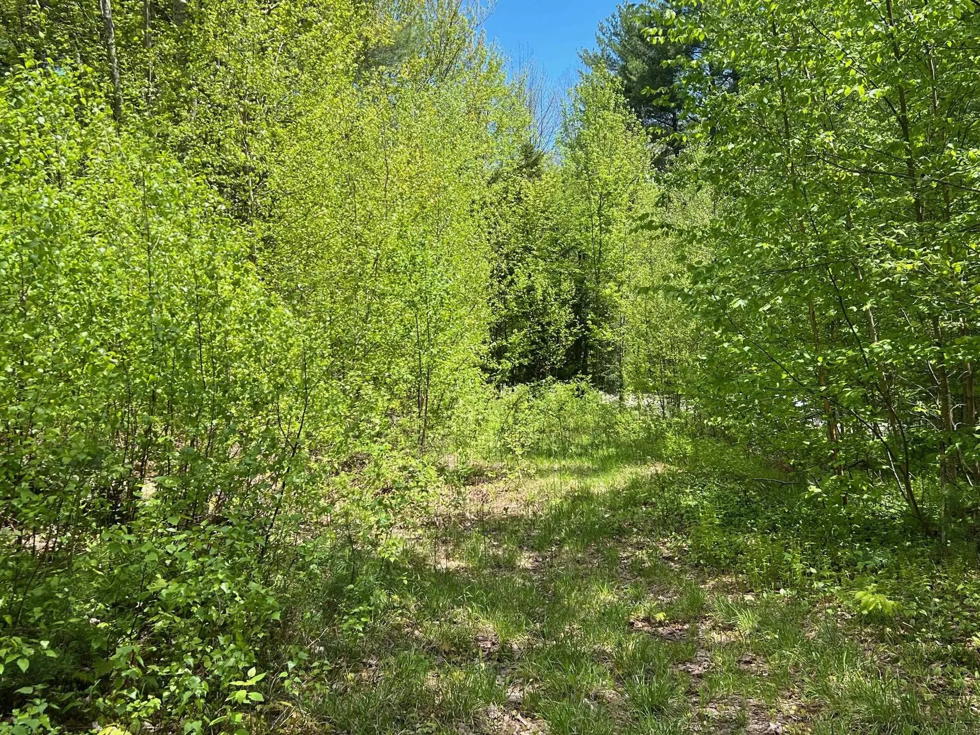 0 Bragg Hill Road Fayston VT 05673