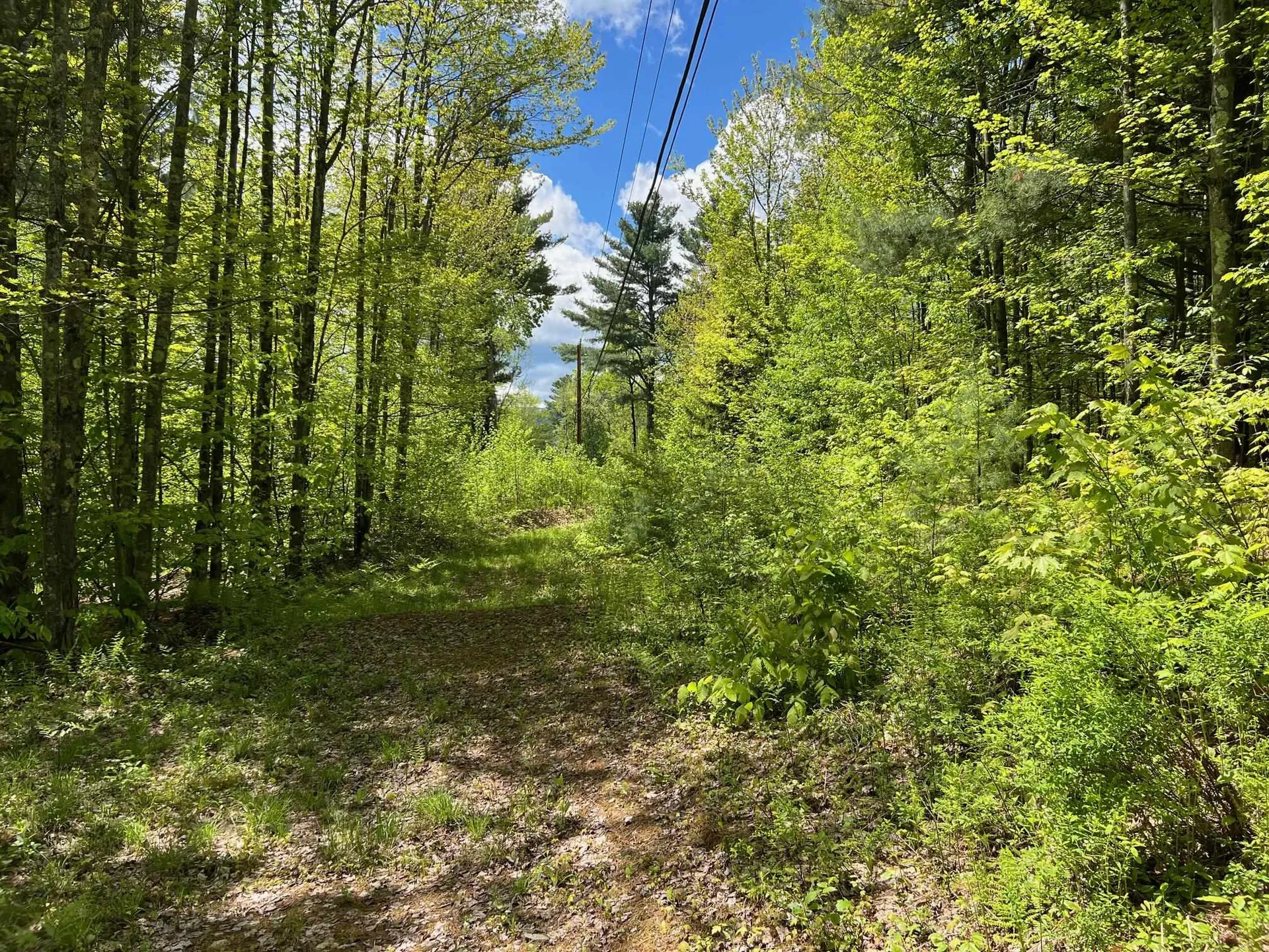0 Bragg Hill Road Fayston VT 05673