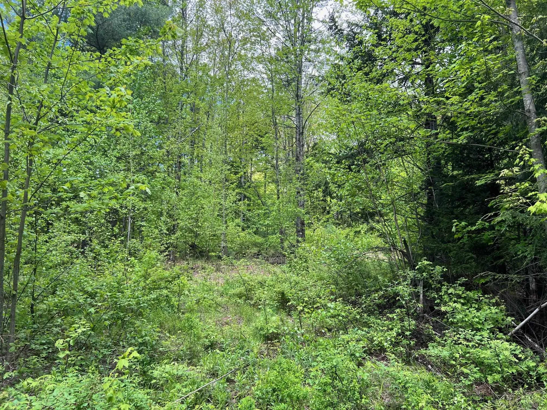 0 Bragg Hill Road Fayston VT 05673