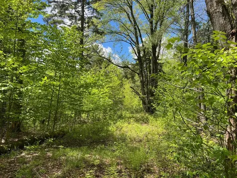 0 Bragg Hill Road Fayston VT 05673