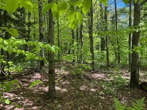 0 Bragg Hill Road Fayston VT 05673