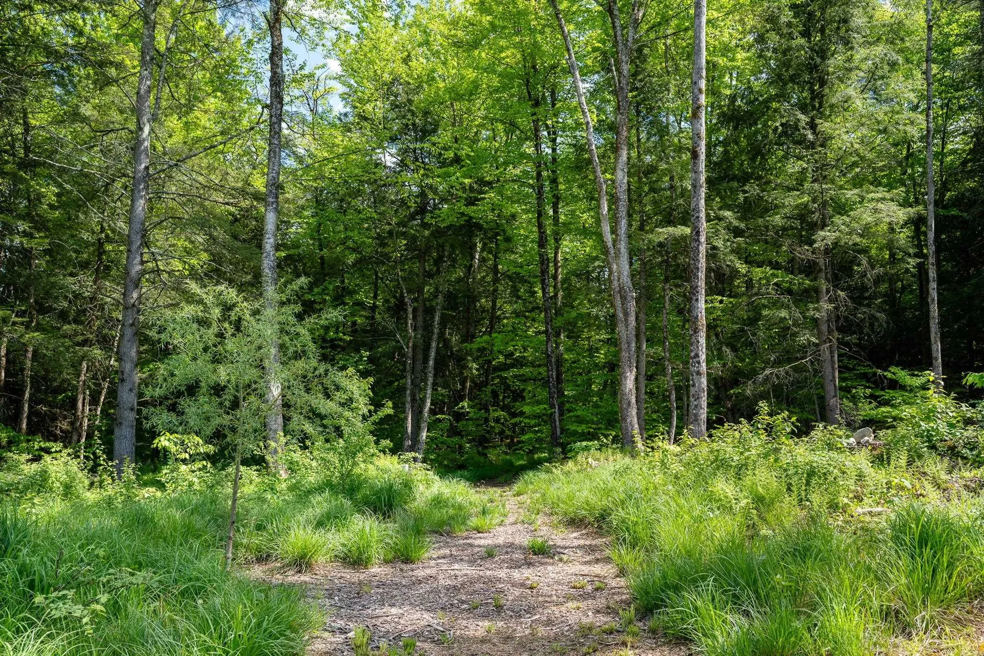 27 Hanley Lane Essex VT 05452