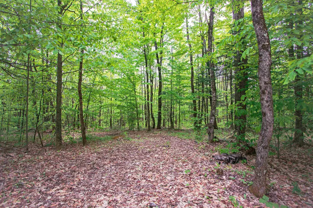 8200 Granby Road Granby VT 05840