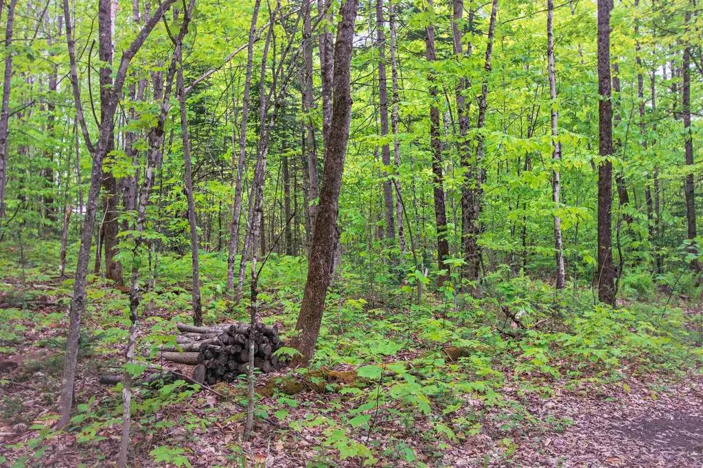 8200 Granby Road Granby VT 05840