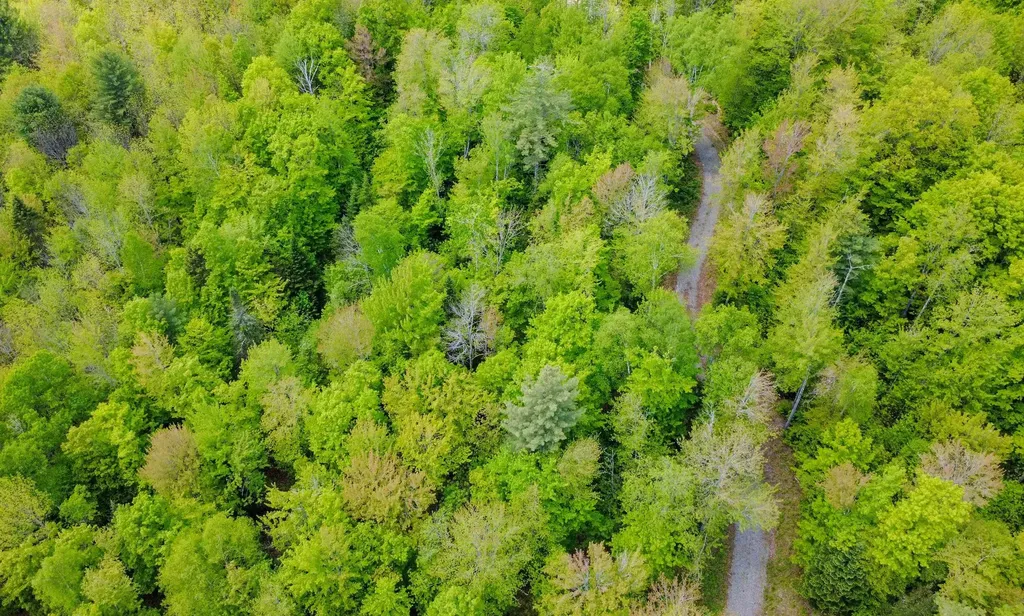 8200 Granby Road Granby VT 05840