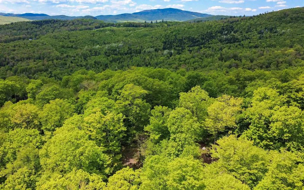 8200 Granby Road Granby VT 05840