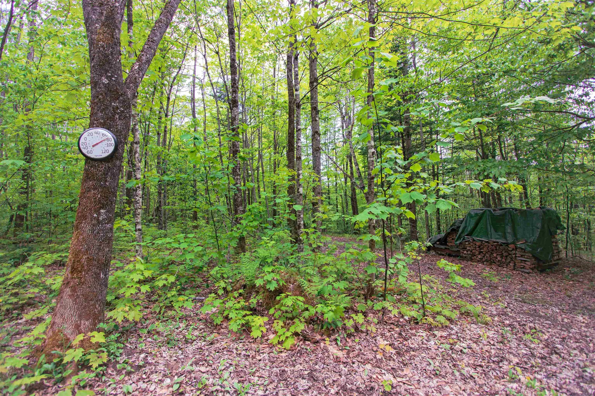 8200 Granby Road Granby VT 05840