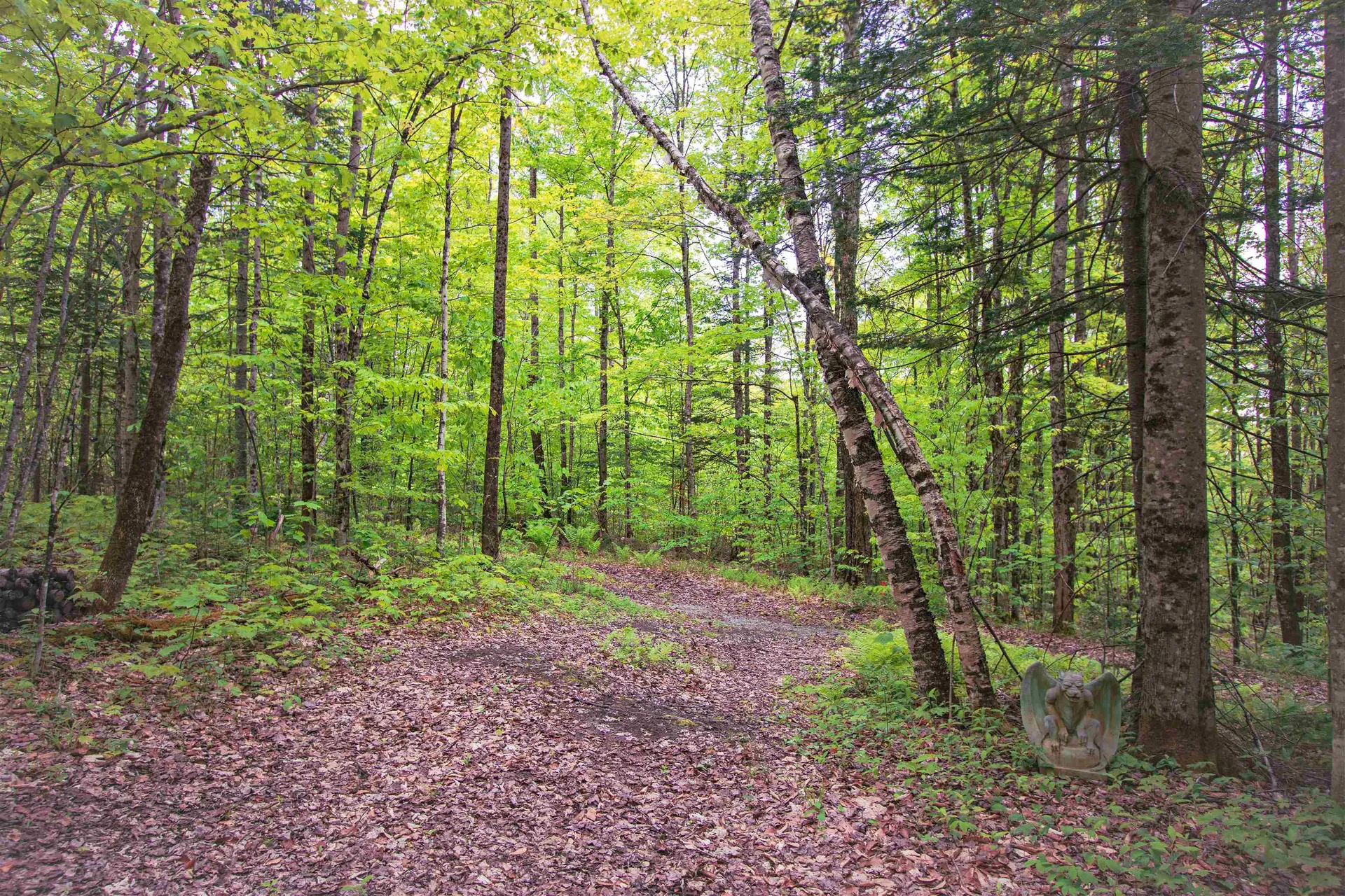 8200 Granby Road Granby VT 05840