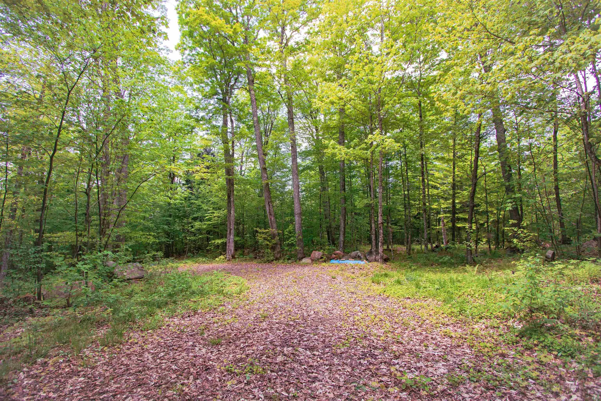 8200 Granby Road Granby VT 05840