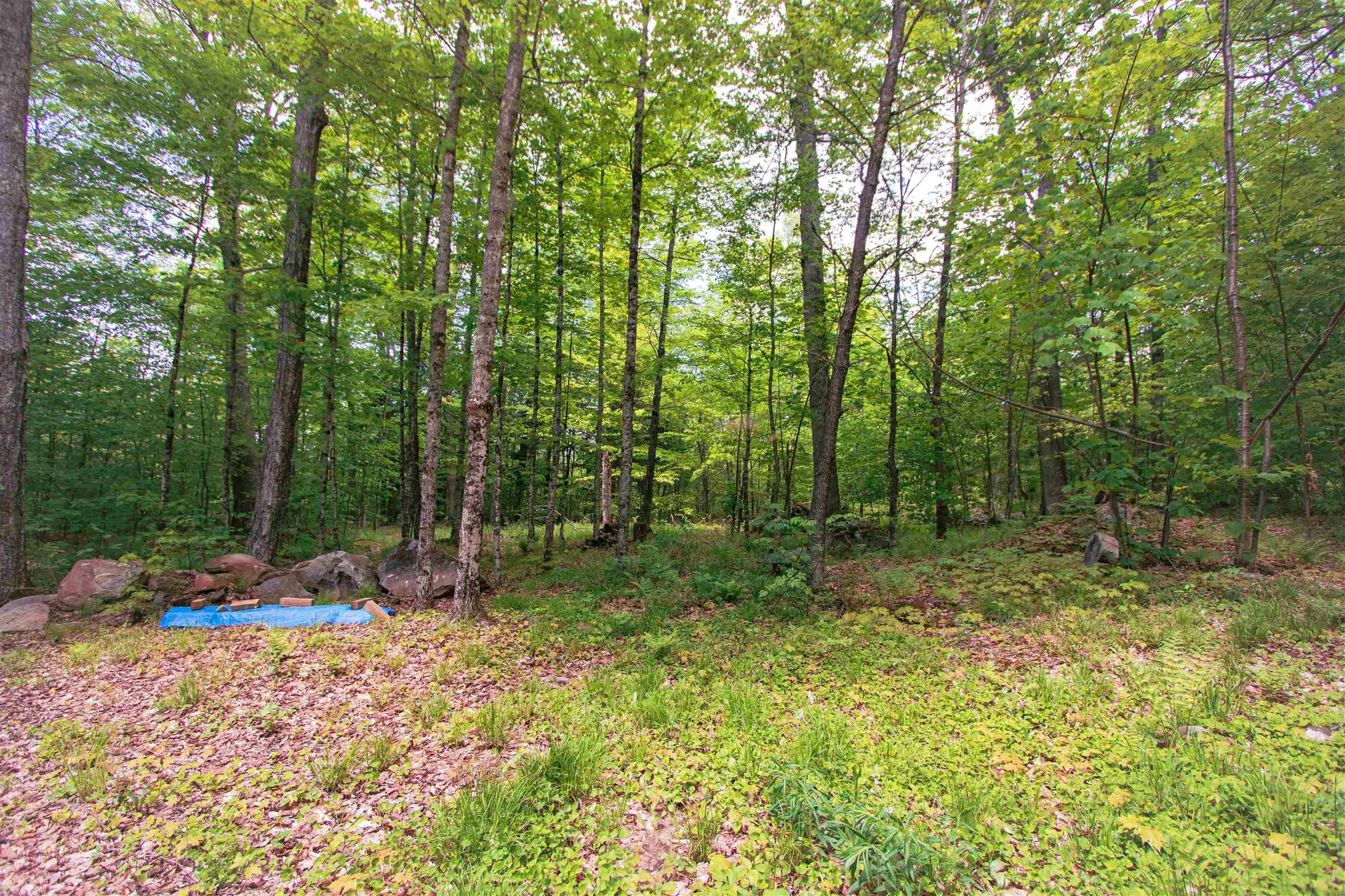 8200 Granby Road Granby VT 05840