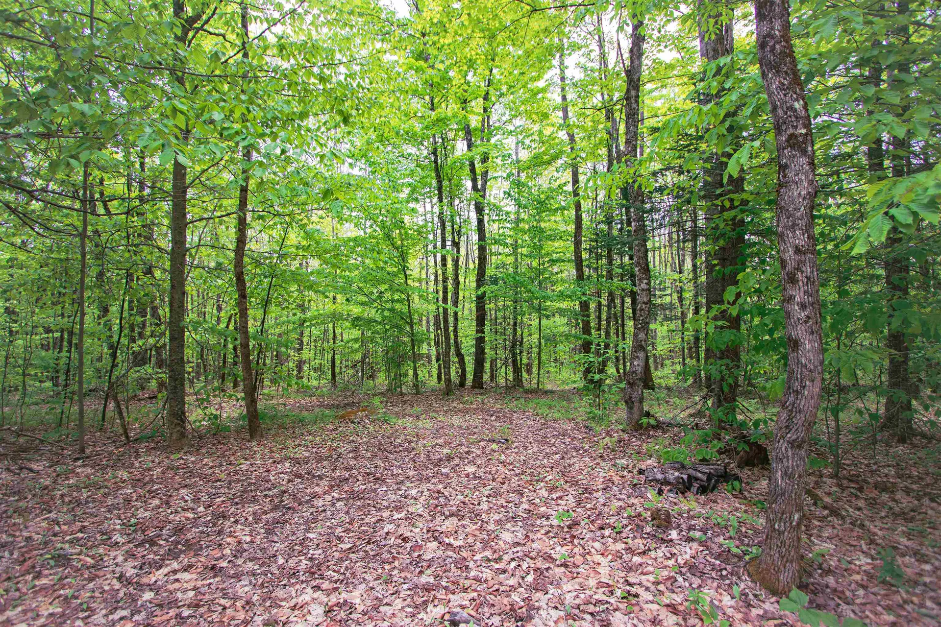 8200 Granby Road Granby VT 05840