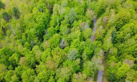 8200 Granby Road Granby VT 05840