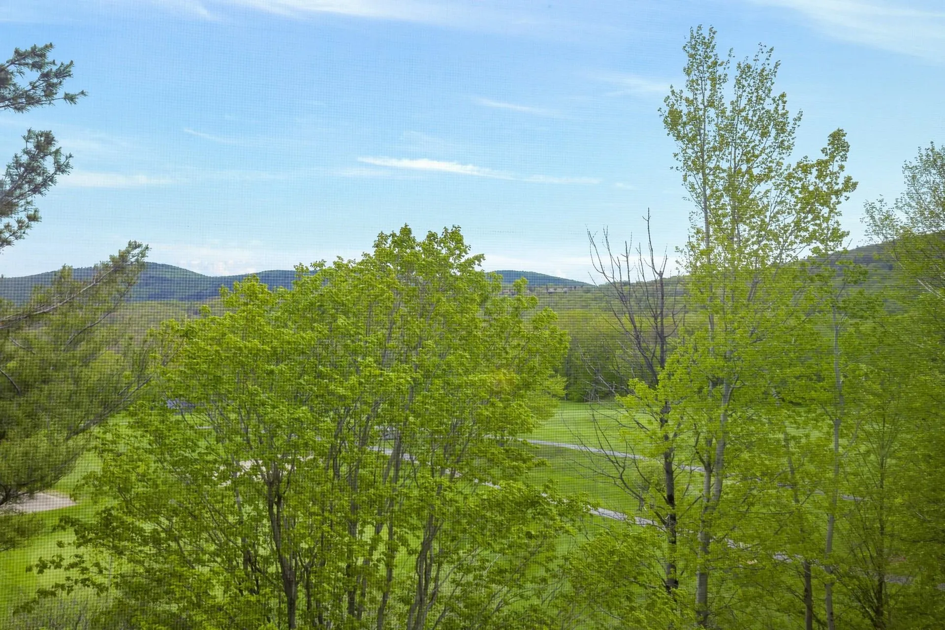 137 East Mountain Road Killington VT 05751