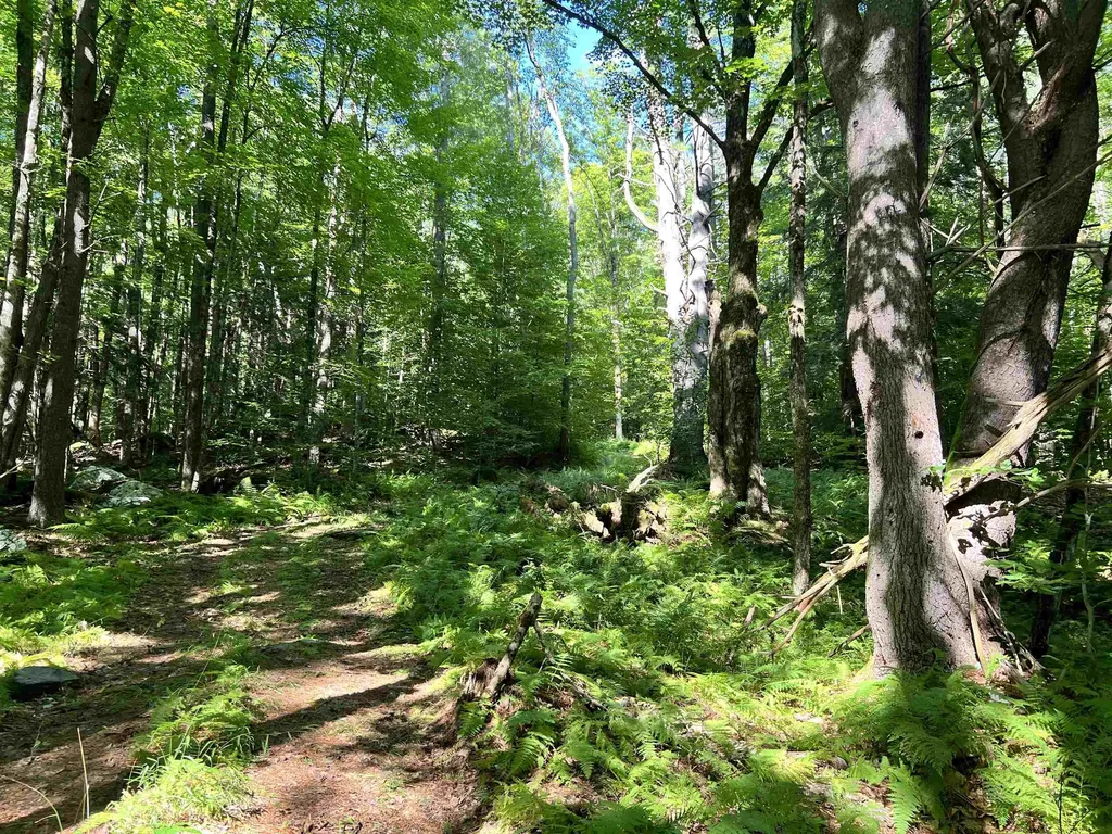 674 Vt Route 12 Hartland VT 05048