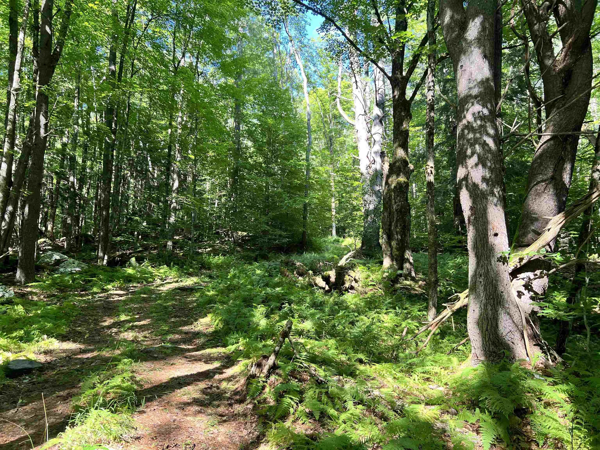 674 Vt Route 12 Hartland VT 05048