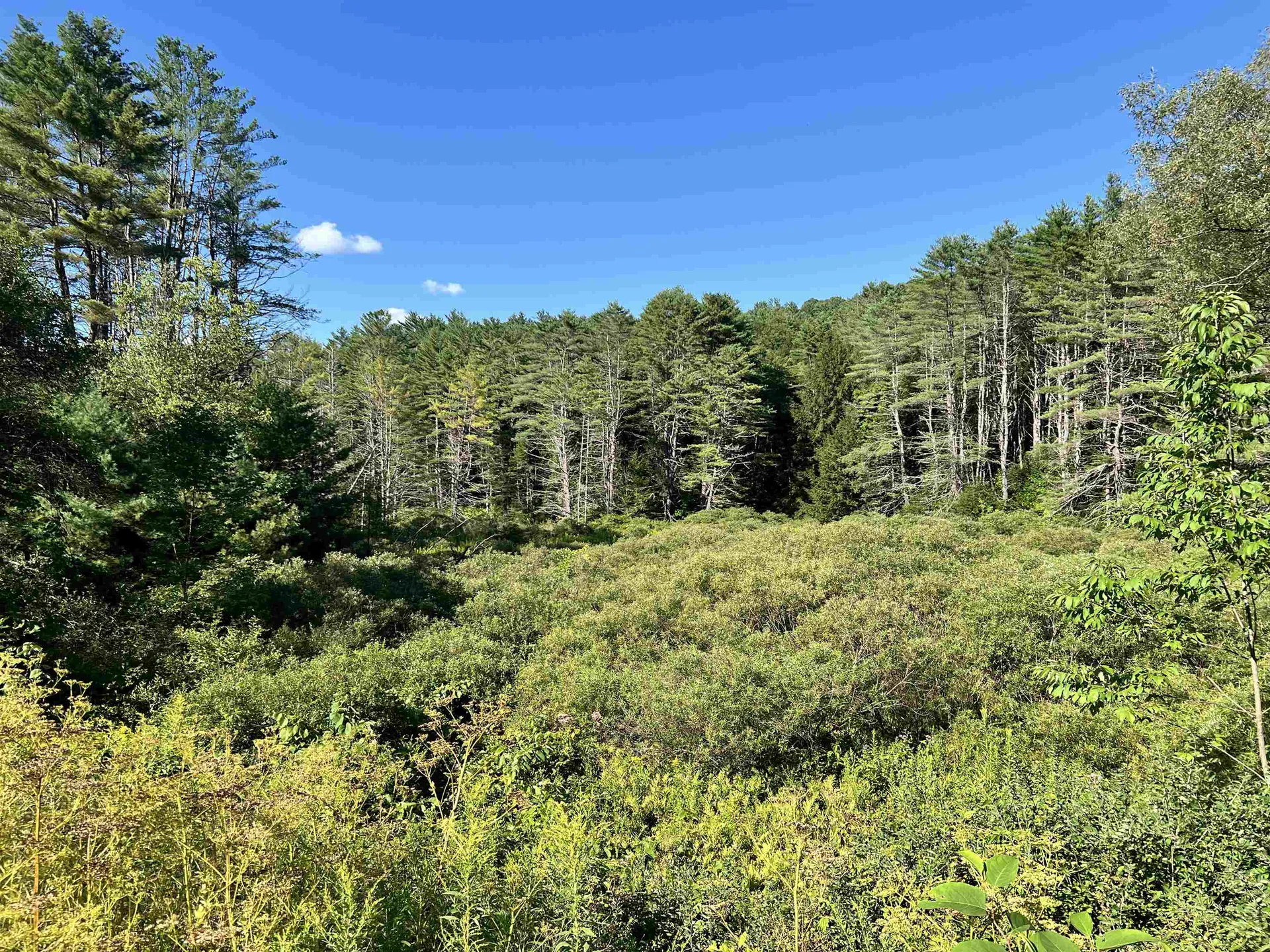 674 Vt Route 12 Hartland VT 05048