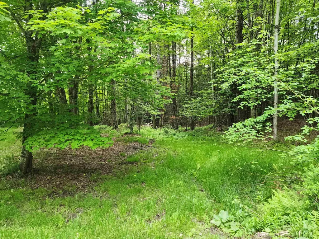 0000 Williams Road Littleton NH 03561