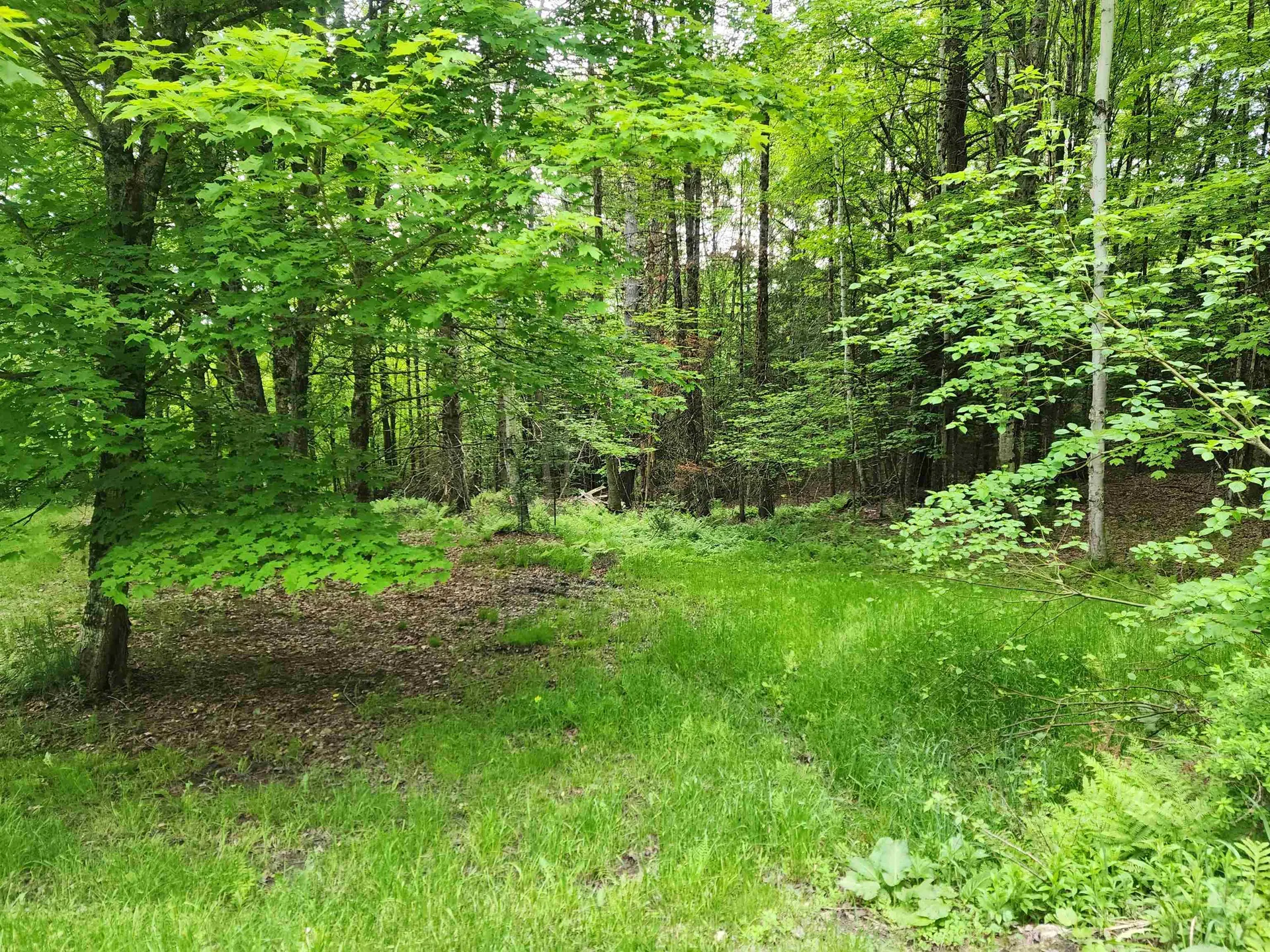 0000 Williams Road Littleton NH 03561