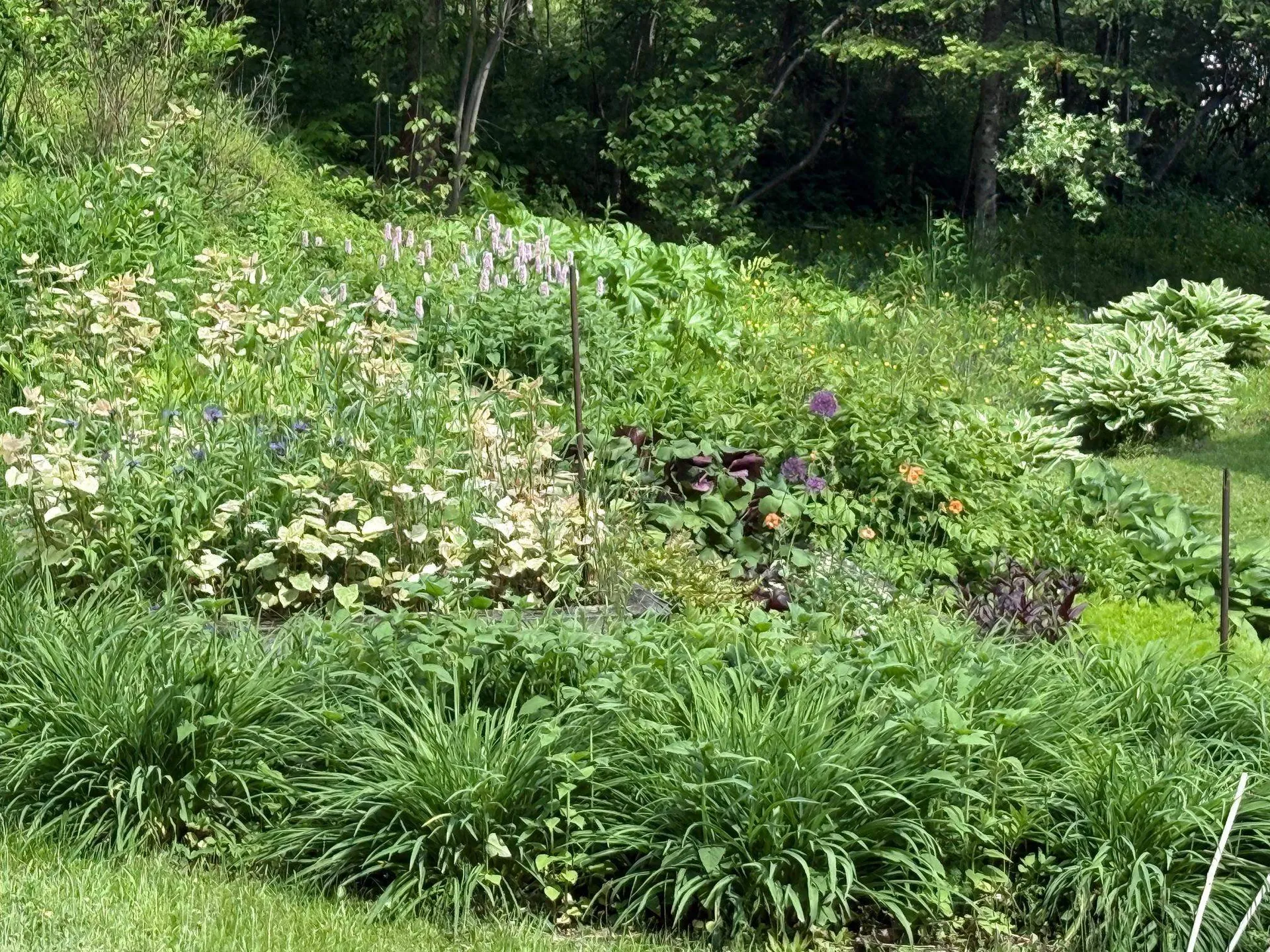 904 Moscow Road Stowe VT 05672