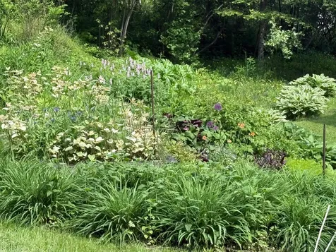 904 Moscow Road Stowe VT 05672