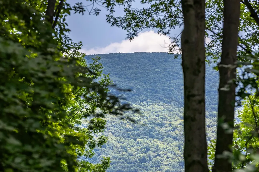 129 Coventry Lane Manchester VT 05255