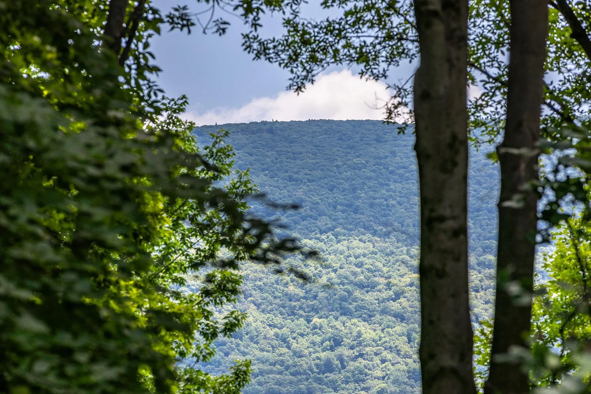 129 Coventry Lane Manchester VT 05255