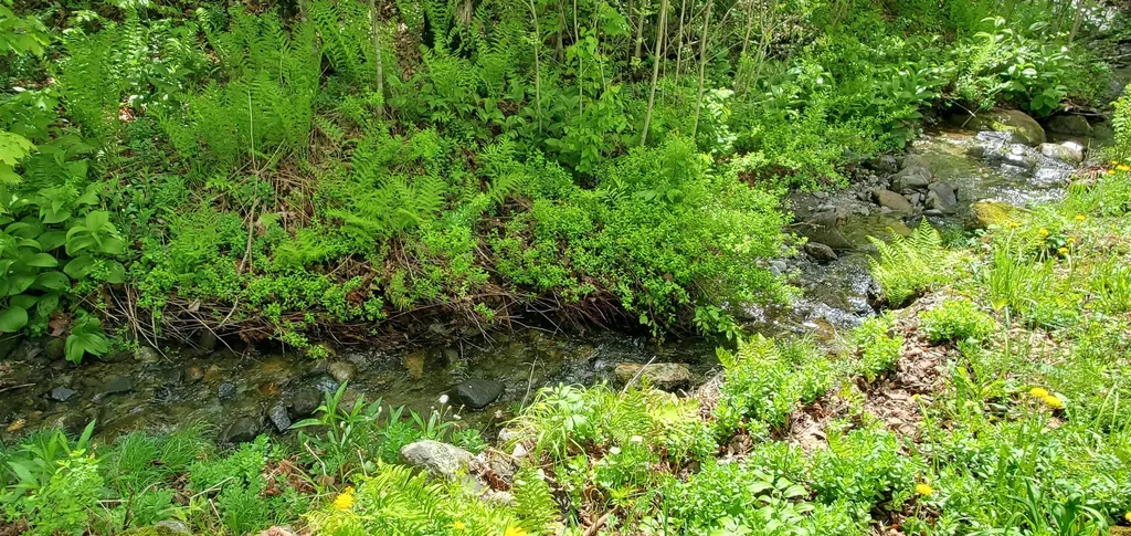 7 Sunset Lane Concord VT 05824