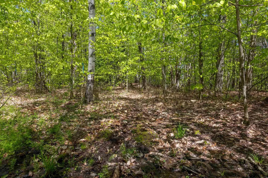 Rowell Drive Franklin NH 03235