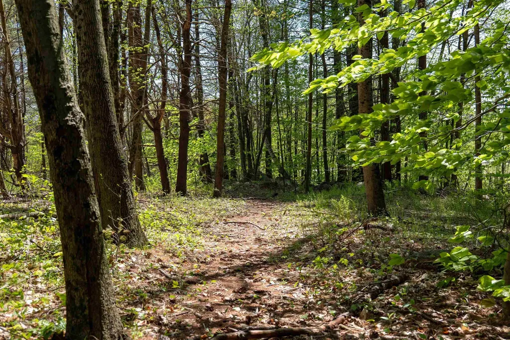 Rowell Drive Franklin NH 03235