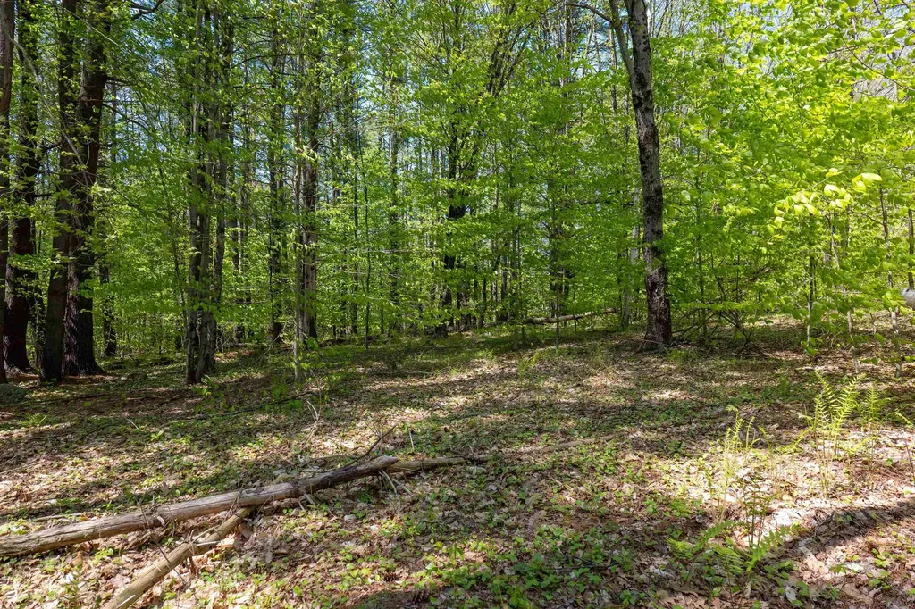 Rowell Drive Franklin NH 03235