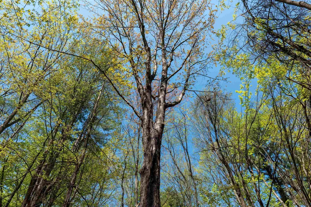 Rowell Drive Franklin NH 03235