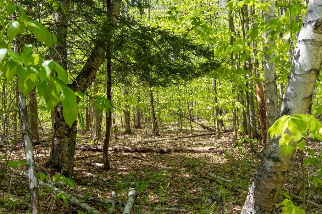 Rowell Drive Franklin NH 03235