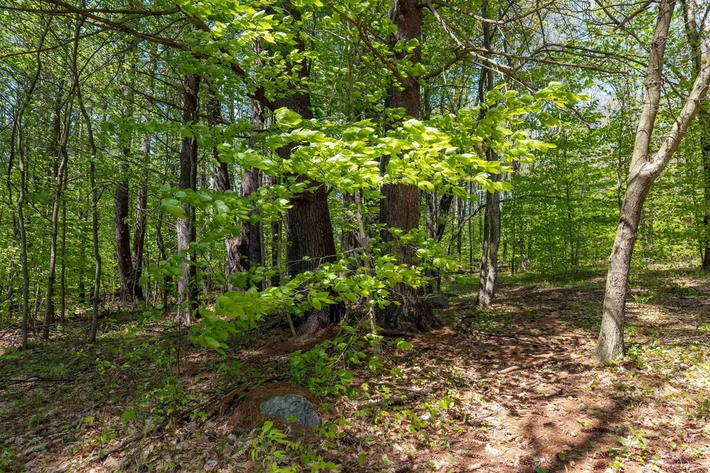 Rowell Drive Franklin NH 03235