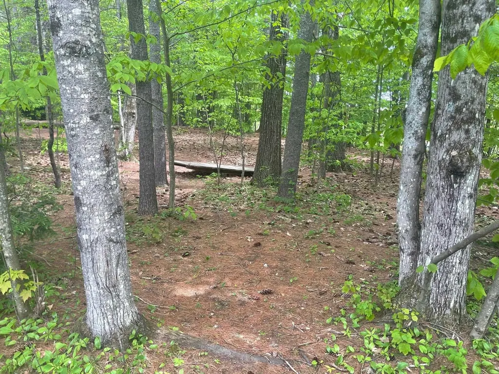 Rowell Drive Franklin NH 03235