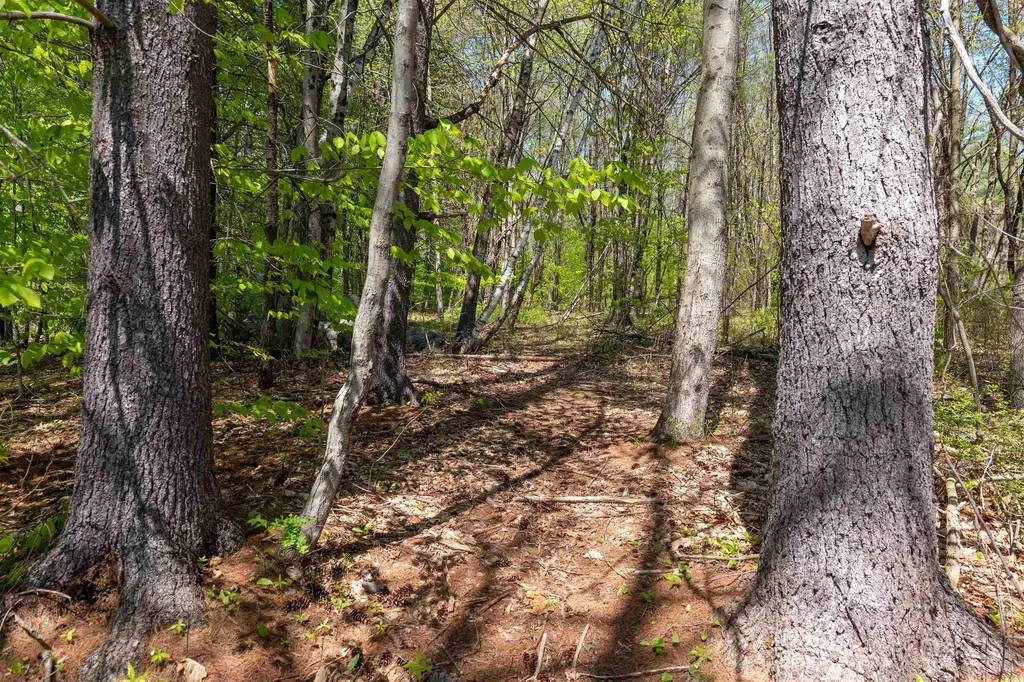 Rowell Drive Franklin NH 03235