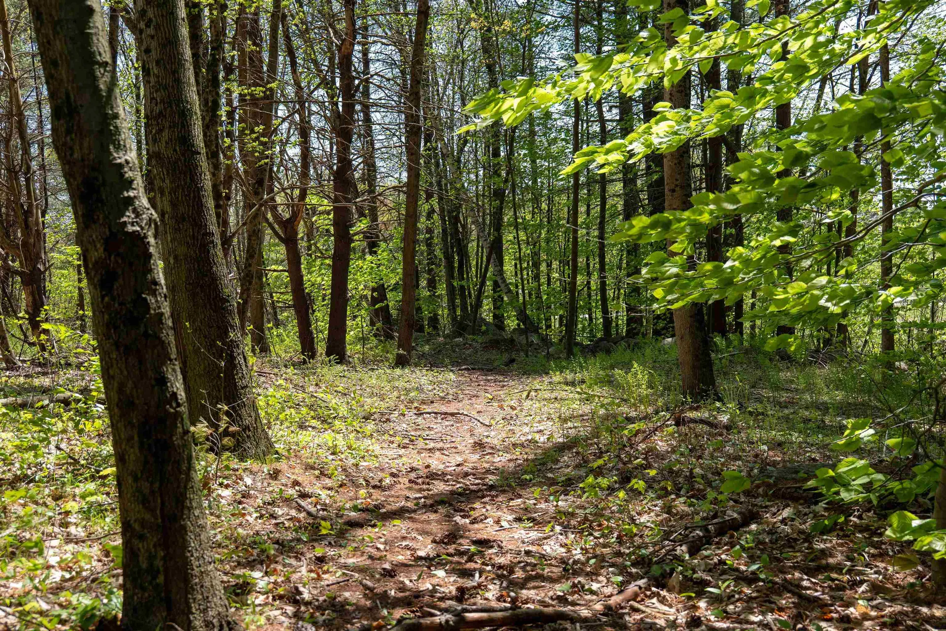 Rowell Drive Franklin NH 03235