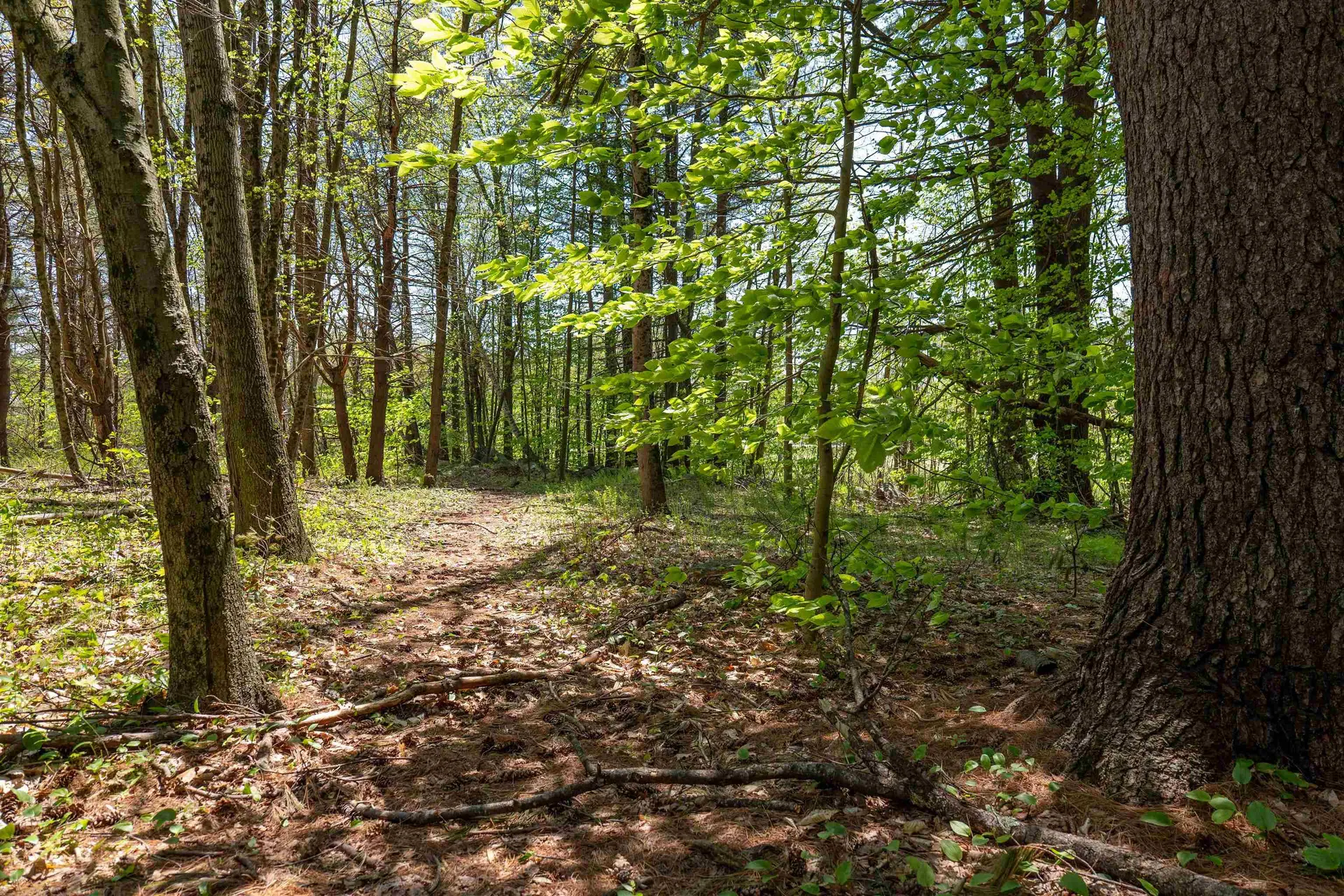 Rowell Drive Franklin NH 03235