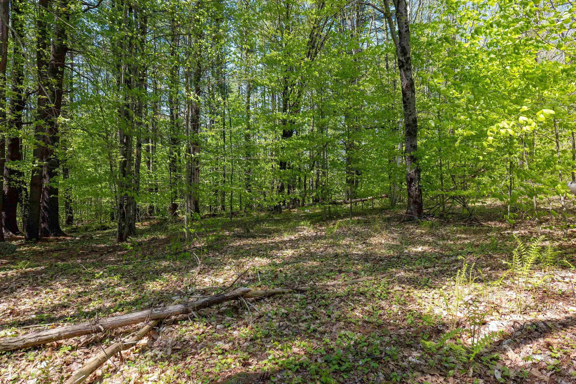 Rowell Drive Franklin NH 03235