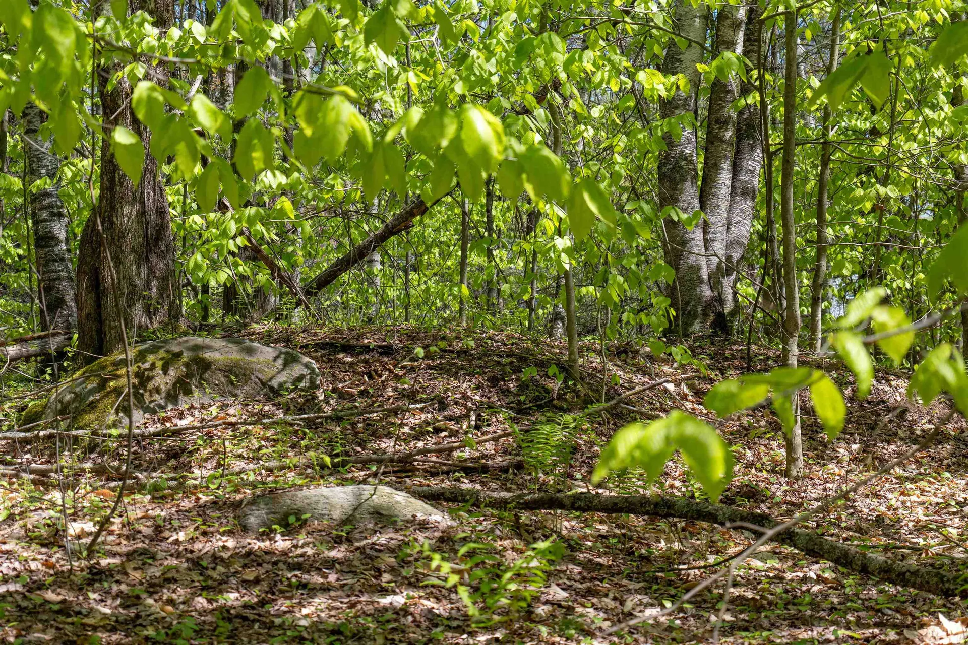 Rowell Drive Franklin NH 03235