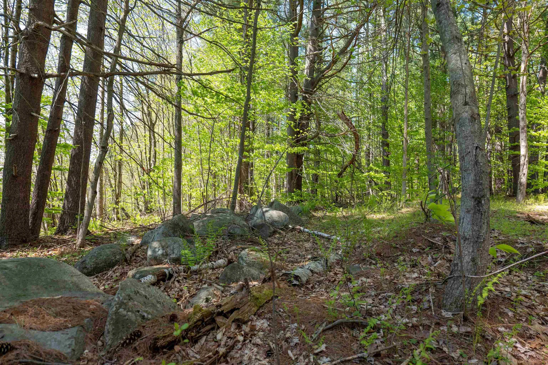 Rowell Drive Franklin NH 03235