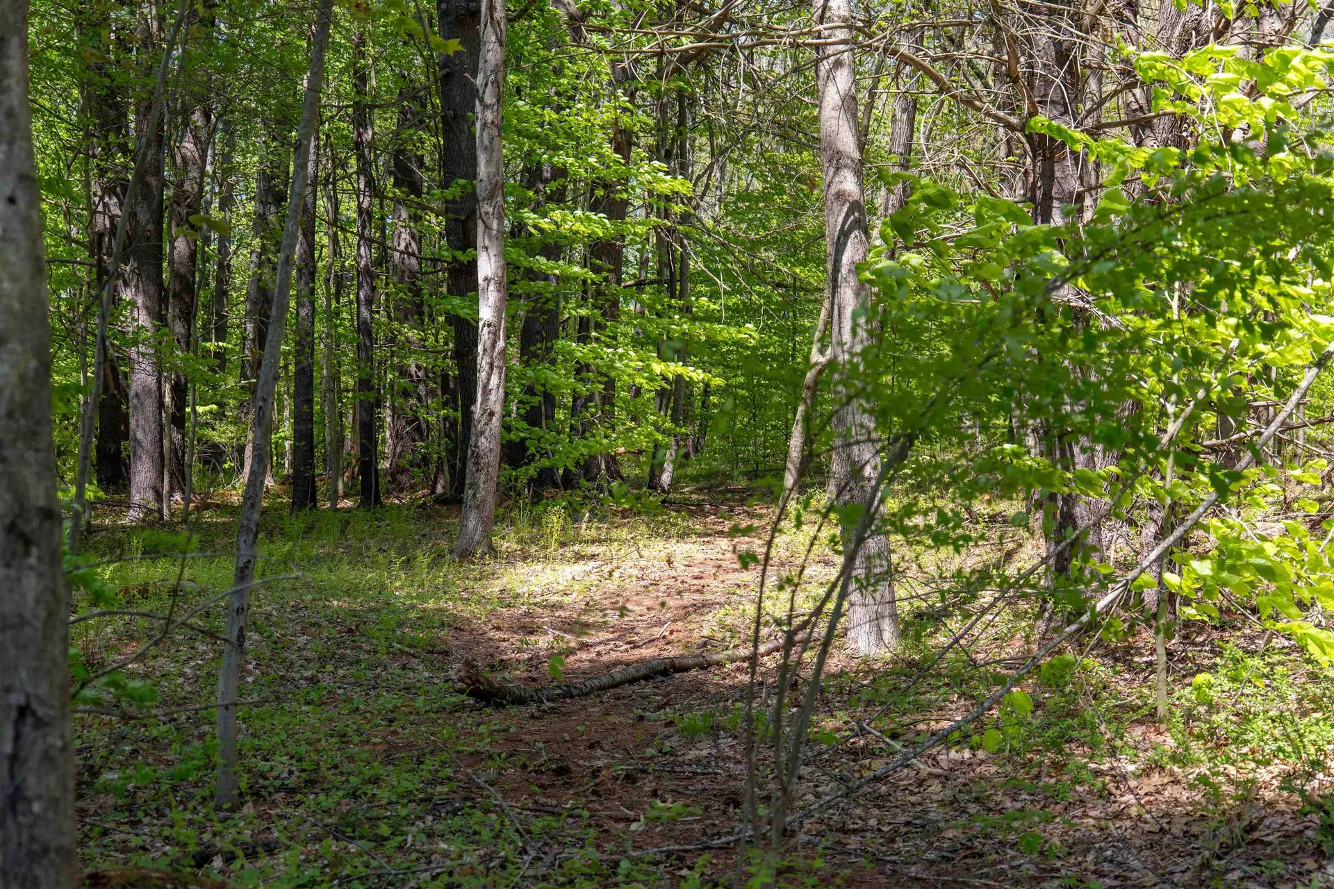 Rowell Drive Franklin NH 03235