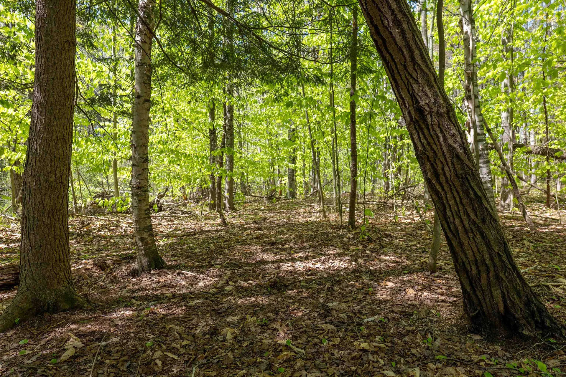 Rowell Drive Franklin NH 03235